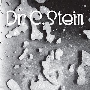Selected Works 1983-1988 by Dr. C. Stein