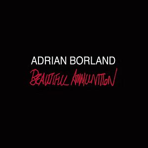 Beautiful Ammunition by Adrian Borland