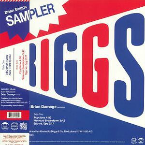Special Sampler (Selected Music From The Album Brian Damage) by Brian Briggs