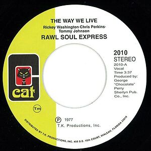 The Way We Live by Raw Soul Express