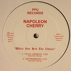 When You Had The Chance by Napoleon Cherry