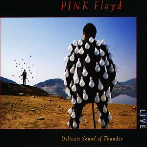 Delicate Sound Of Thunder. by Pink Floyd