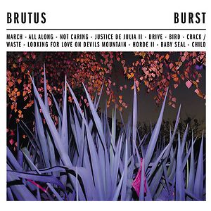 Burst by Brutus