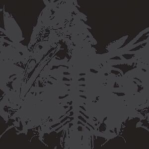 Mass II by Amenra