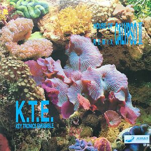 House Of Calypso II Remix by Key Tronics Ensemble