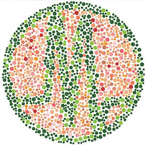 Synesthesia - The First Five Years by Various