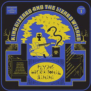 Flying Microtonal Banana by King Gizzard And the Lizard Wizard