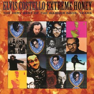 Extreme Honey: The Very Best Of The Warner Bros. Years by Elvis Costello