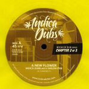 Book Of Dub Series Chapter 2 of 3 by Indica Dubs