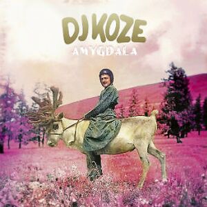 Amygdala by DJ Koze