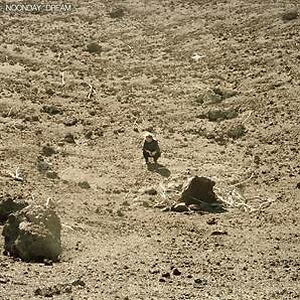 Noonday Dream by Ben Howard
