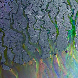 An Awesome Wave - 10 Year Anniversary Edition by Alt-J