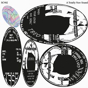 A Totally New Sound by Various