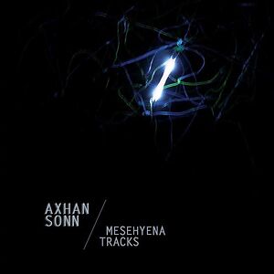 Mesehyena Tracks by Axhan Sonn