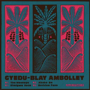 The Message by Gyedu Blay Ambolley