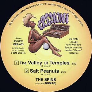 The Valley Of Temples by The Spins