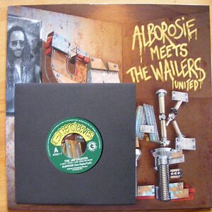 Unbreakable by Alborosie