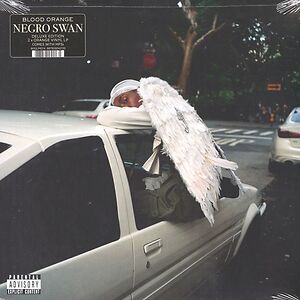 Negro Swan (Regular Black) by Blood Orange 