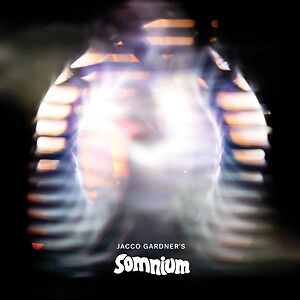 Somnium by Jacco Gardner