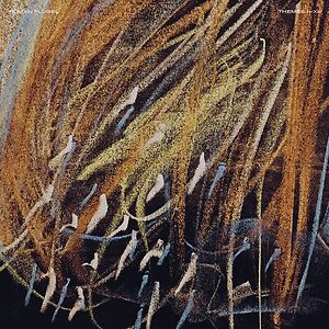 Themes I-XIII  by Roman Fl?gel