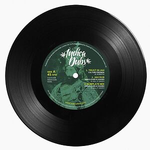 Trust In Jah by Indica Dubs
