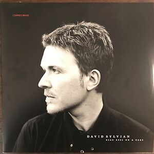 Dead Bees On A Cake by David Sylvian