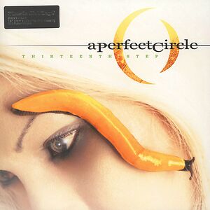 Thirteenth Step by A Perfect Circle