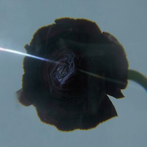 Dark Matter by Pablo's Eye