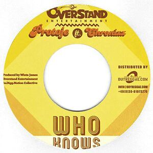 Who Knows by Protoje