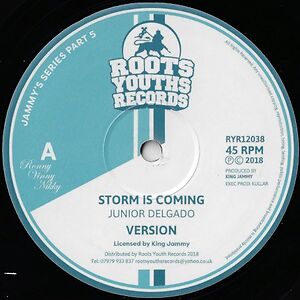 Storm Is Coming / Righteous One by Junior Delgado