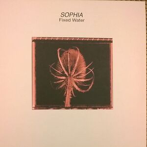 Fixed Water by Sophia
