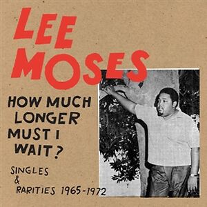 How Much Longer Must I Wait? by Lee Moses