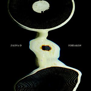 Forsaken by Zaliva-D