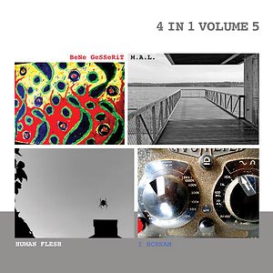 4 In 1 Volume 5 by Various