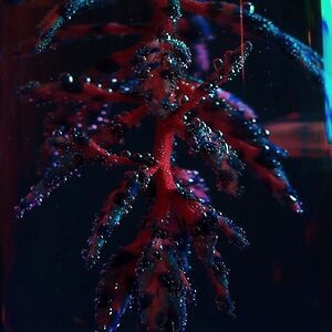 Cocoon Crush by Objekt