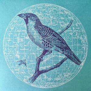 Peace Bird EP by Genius Of Time