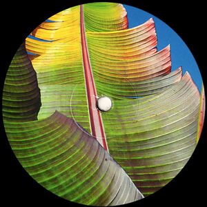 Kieran Hebden - Only Human by Four Tet