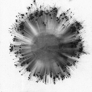 Obverse - Black / White vinyl by Trentem?ller
