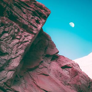 Linked by Bonobo