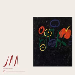 Ma by Devendra Banhart