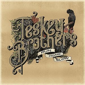 Run Home Slow by The Teskey Brothers
