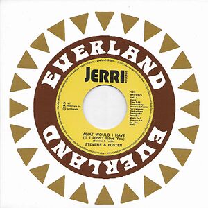 What Would I Have (If I Didn't Have You) by Stevens & Foster