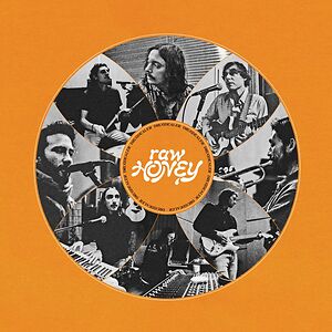 Raw Honey by Drugdealer
