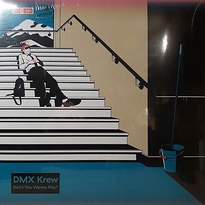 Don't You Wanna Play? by DMX Krew