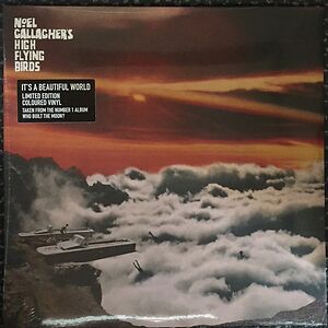 It's A Beautiful World by Noel Gallagher's High Flying Birds