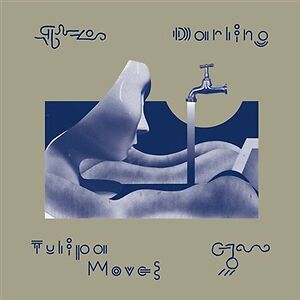 Tulipa Moves by Darling