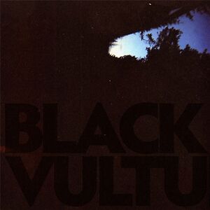 Black Vultures by Daniel Norgren