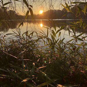 Photosynthesis by Greg Foat