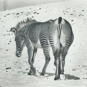It Should Be Us by Andy Stott