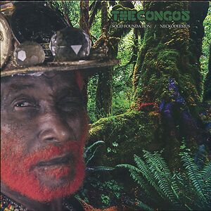 Solid Foundation / Neckodeemus by The Congos